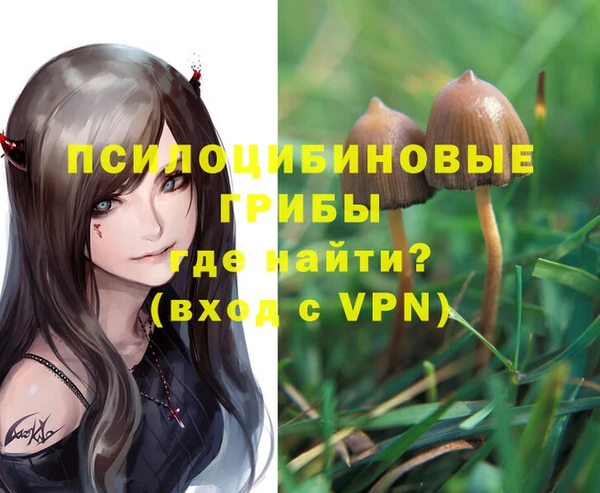 эйфоретик Алзамай
