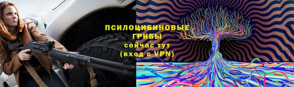 винт Алексин
