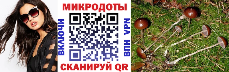 Галлюциногенные грибы GOLDEN TEACHER  Купить  Мостовской 